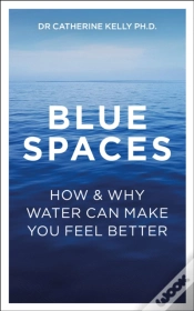 Capa do artigo Blue Spaces