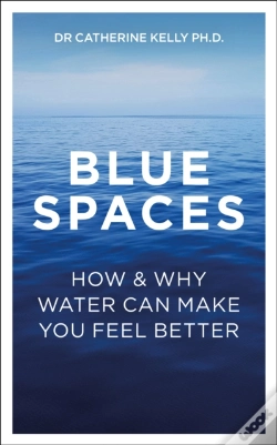 Capa do artigo Blue Spaces