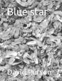 Blue Star - Preview