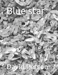 Capa do artigo Blue Star