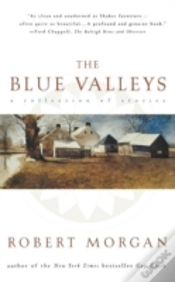Capa do artigo Blue Valley