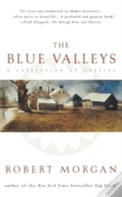 Capa do artigo Blue Valley