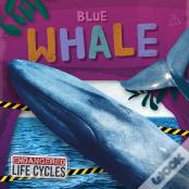 Blue Whale