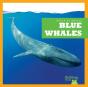 Blue Whales - Preview
