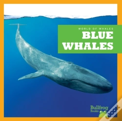 Capa do artigo Blue Whales