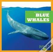 Capa do artigo Blue Whales