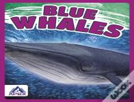 Blue Whales