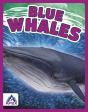 Blue Whales - Preview