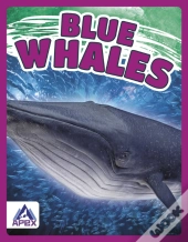 Blue Whales