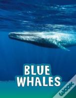 Blue Whales