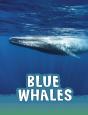 Blue Whales - Preview