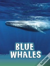 Capa do artigo Blue Whales