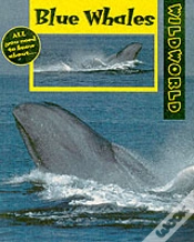 Capa do artigo Blue Whales