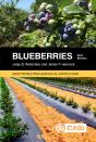Blueberries - Preview