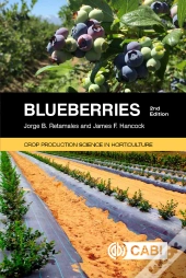 Blueberries