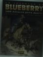 Blueberry 48: 100 Dólares Para Morir (La Juventud De Blueberry) - Preview