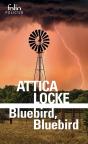 Bluebird, Bluebird - Preview