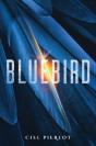 Bluebird - Preview