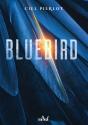Bluebird - Preview