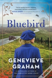 Capa do artigo Bluebird