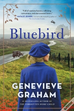 Capa do artigo Bluebird