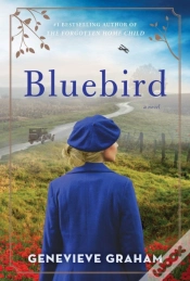 Capa do artigo Bluebird