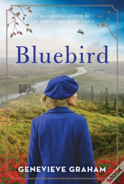 Capa do artigo Bluebird