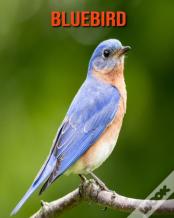Bluebird