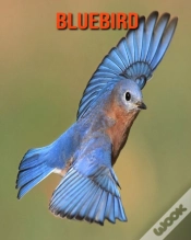 Capa do artigo Bluebird