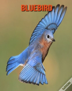 Capa do artigo Bluebird