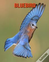 Bluebird