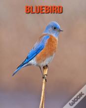 Bluebird