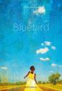 Bluebird - Preview