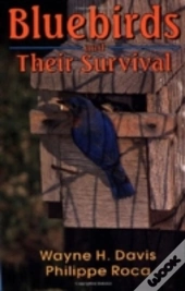 Bluebirds And Their Survival