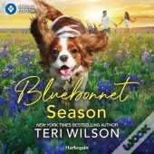 Bluebonnet Season