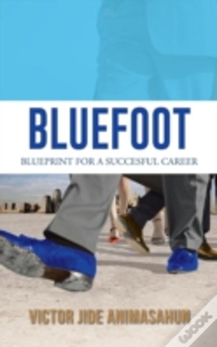 Bluefoot: Blueprint For A Succesful Career