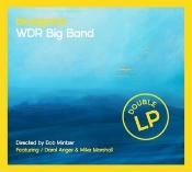 Capa do artigo Bluegrass - Vinil