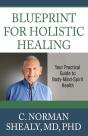 Blueprint For Holistic Healing - Preview