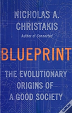 Capa do artigo Blueprint