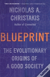 Capa do artigo Blueprint