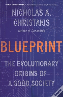 Capa do artigo Blueprint