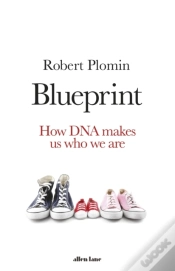 Capa do artigo Blueprint