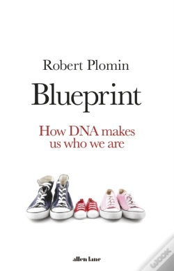 Capa do artigo Blueprint