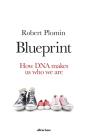 Blueprint - Preview
