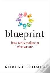 Capa do artigo Blueprint