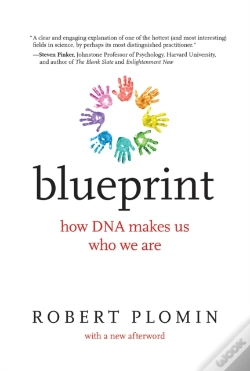 Capa do artigo Blueprint