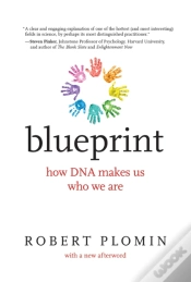Capa do artigo Blueprint