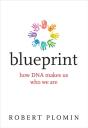 Blueprint - Preview