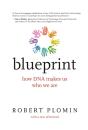 Blueprint - Preview