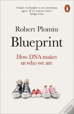 Capa do artigo Blueprint